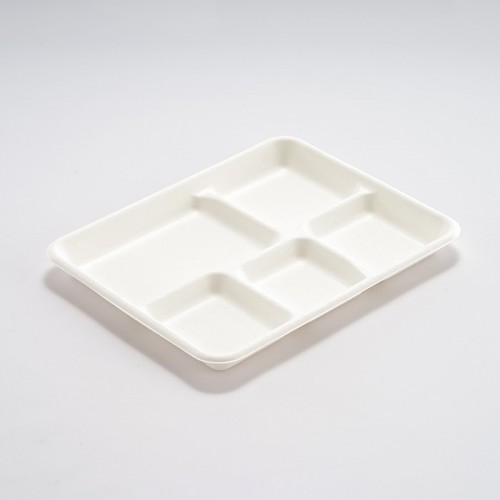 Eco-friendly Disposable Multi-compartment Plate (2)