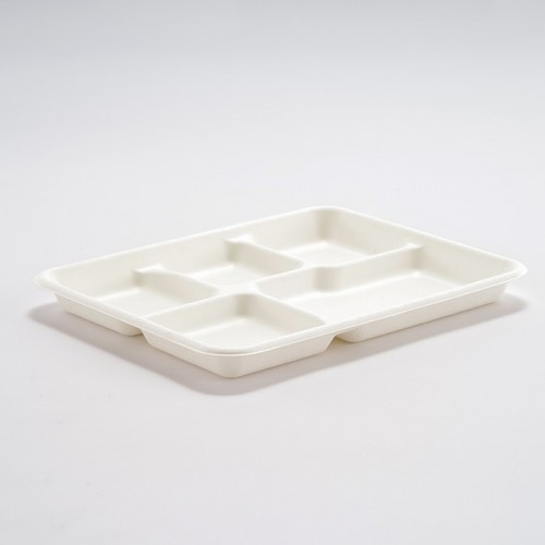 Eco-friendly Disposable Multi-compartment Plate (3)