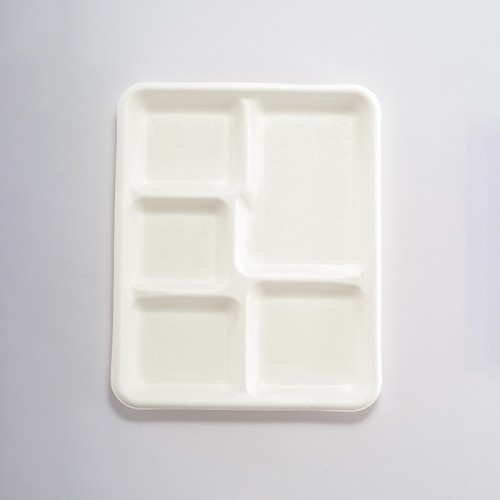 Eco-friendly Disposable Multi-compartment Plate (4)