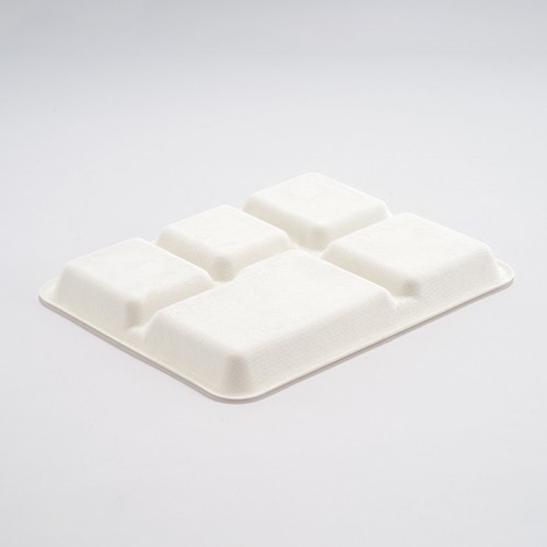Eco-friendly Disposable Multi-compartment Plate (5)