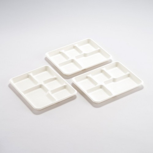 Eco-friendly Disposable Multi-compartment Plate (6)
