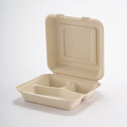 Eco-friendly Disposable Multi-compartment Square Lunch Box (3)