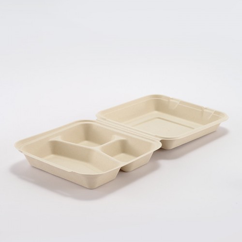 Eco-friendly Disposable Multi-compartment Square Lunch Box (6)