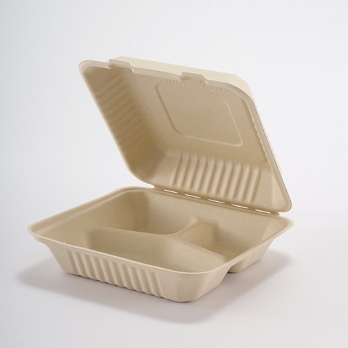 Eco-friendly Disposable Multi-compartment Square Lunch Box (2)