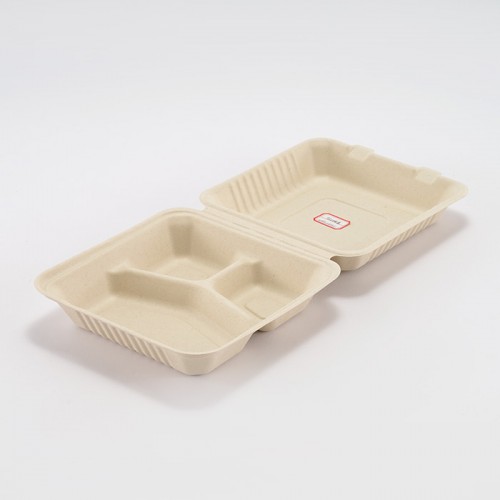 Eco-friendly Disposable Multi-compartment Square Lunch Box (4)