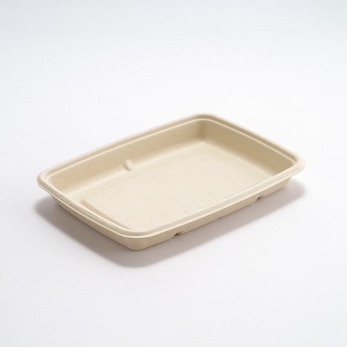 Eco-friendly Disposable Square Paper Plate (2)
