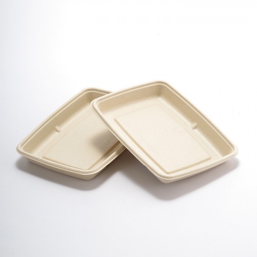 Eco-friendly Disposable Square Paper Plate (4)