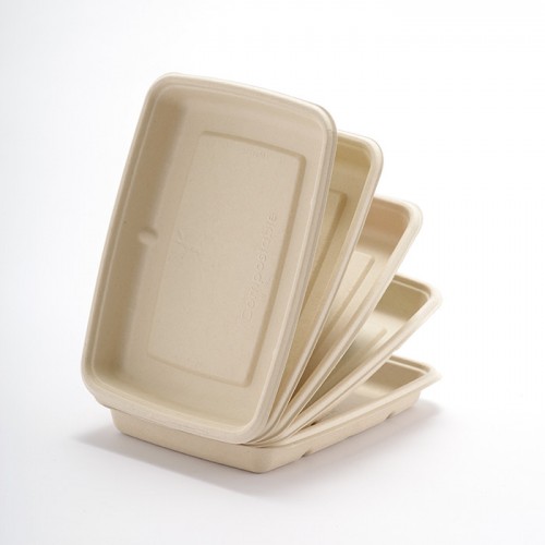 Eco-friendly Disposable Square Paper Plate (5)