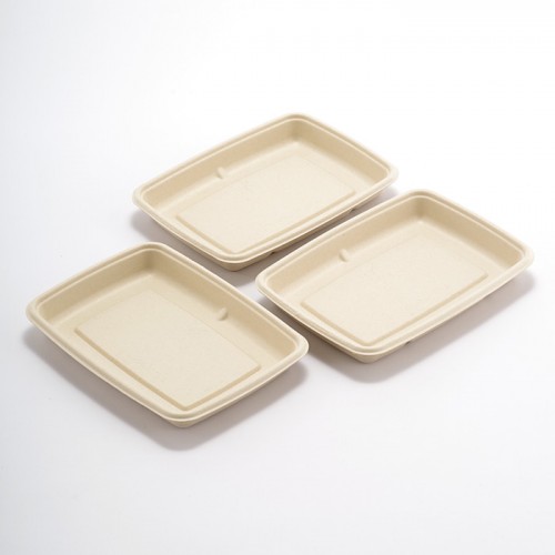 Eco-friendly Disposable Square Paper Plate (6)