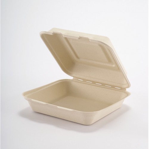 Eco-friendly Disposable Square Lunch Box (2)