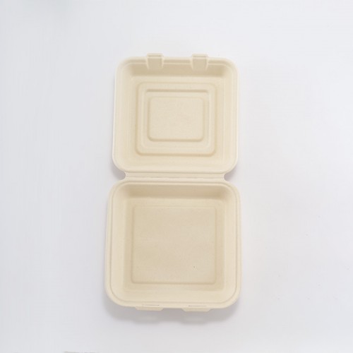 Eco-friendly Disposable Square Lunch Box (3)