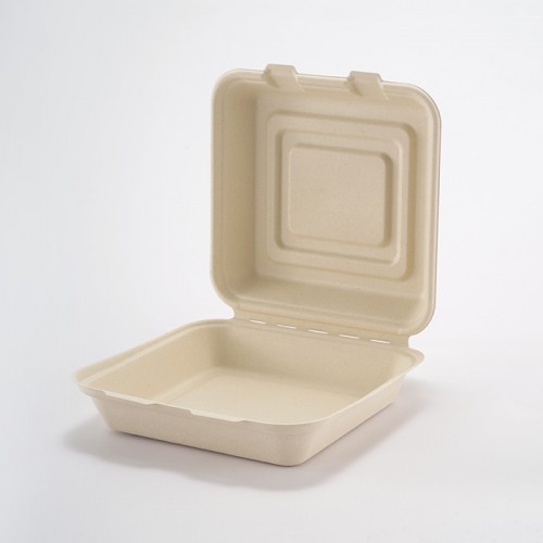 Eco-friendly Disposable Square Lunch Box (4)