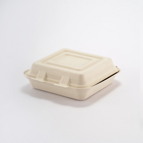 Eco-friendly Disposable Square Lunch Box (5)