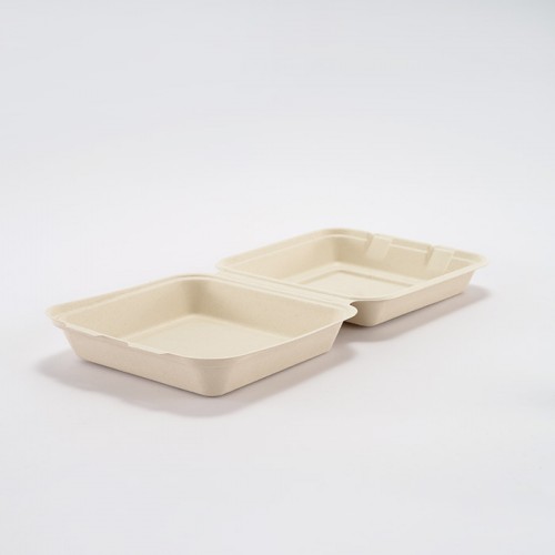 Eco-friendly Disposable Square Lunch Box (Large) (6)