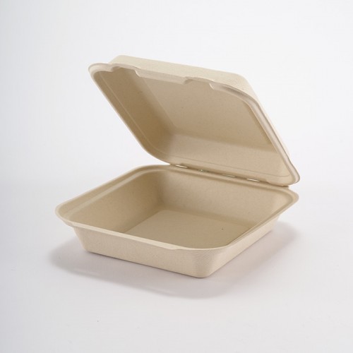 Eco-friendly Disposable Square Lunch Box (Medium) (2)