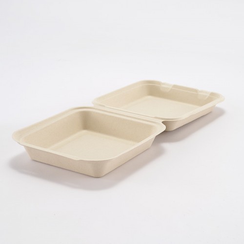 Eco-friendly Disposable Square Lunch Box (Medium) (3)