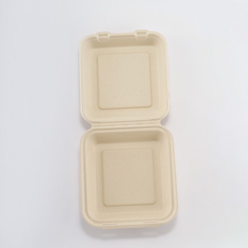 Eco-friendly Disposable Square Lunch Box (Medium) (4)