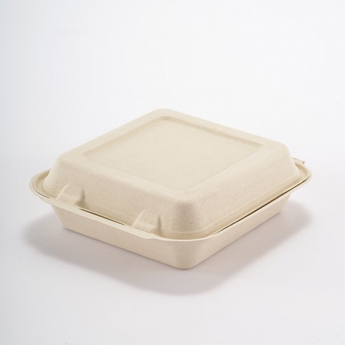 Eco-friendly Disposable Square Lunch Box (Medium) (5)