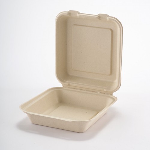 Eco-friendly Disposable Square Lunch Box (Medium) (6)