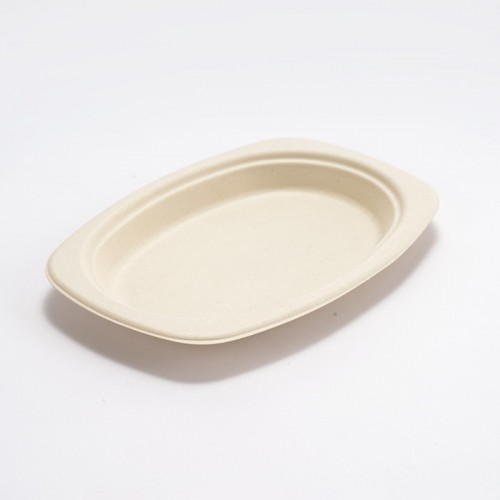 Eco-friendly Disposable Square & Round Paper Plate (2)