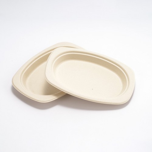 Eco-friendly Disposable Square & Round Paper Plate (3)