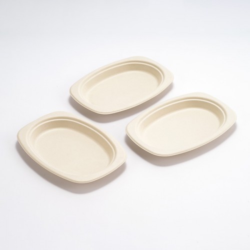 Eco-friendly Disposable Square & Round Paper Plate (4)