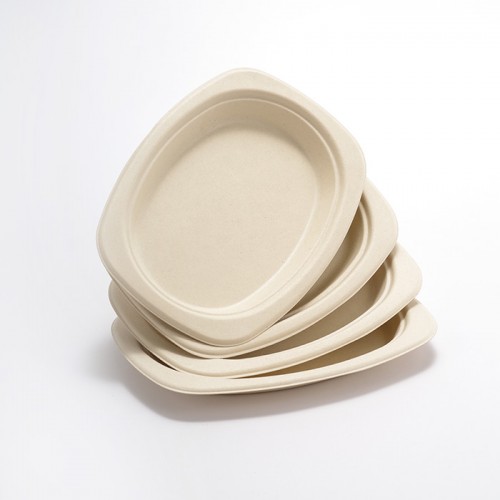 Eco-friendly Disposable Square & Round Paper Plate (5)