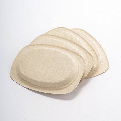 Eco-friendly Disposable Square & Round Paper Plate (6)