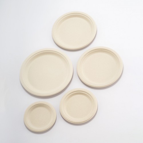 Eco-friendly Disposable Plate Set (2)
