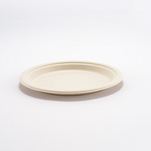 Eco-friendly Disposable Plate Set (3)