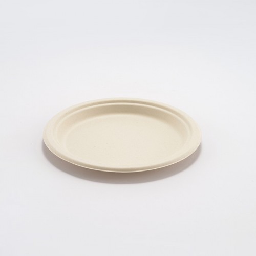 Eco-friendly Disposable Plate Set (4)