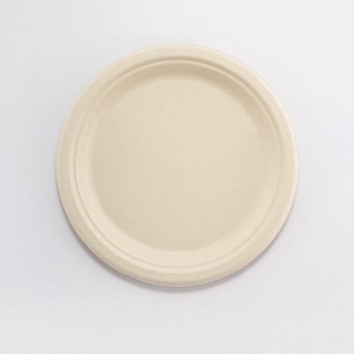 Eco-friendly Disposable Plate Set (5)
