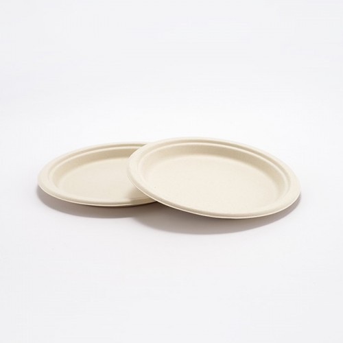 Eco-friendly Disposable Plate Set (6)