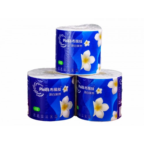 自主品牌布丽丝卷纸 (2)