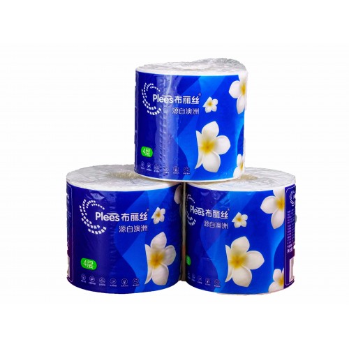 自主品牌布丽丝卷纸
