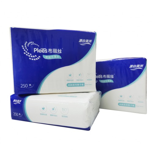 布丽丝擦手纸 (4)