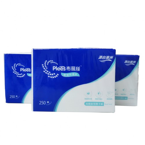 布丽丝擦手纸 (5)