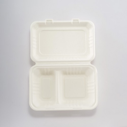 Eco-friendly Disposable White 2-compartment Embossed Box (4)