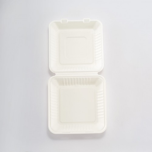 Eco-friendly Disposable White Embossed Lunch Box (5)