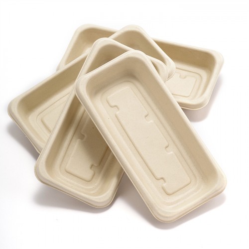 Eco-friendly Disposable Paper Plate (6)
